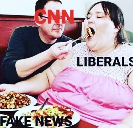 cnn - feeding fake news to liberals.jpg